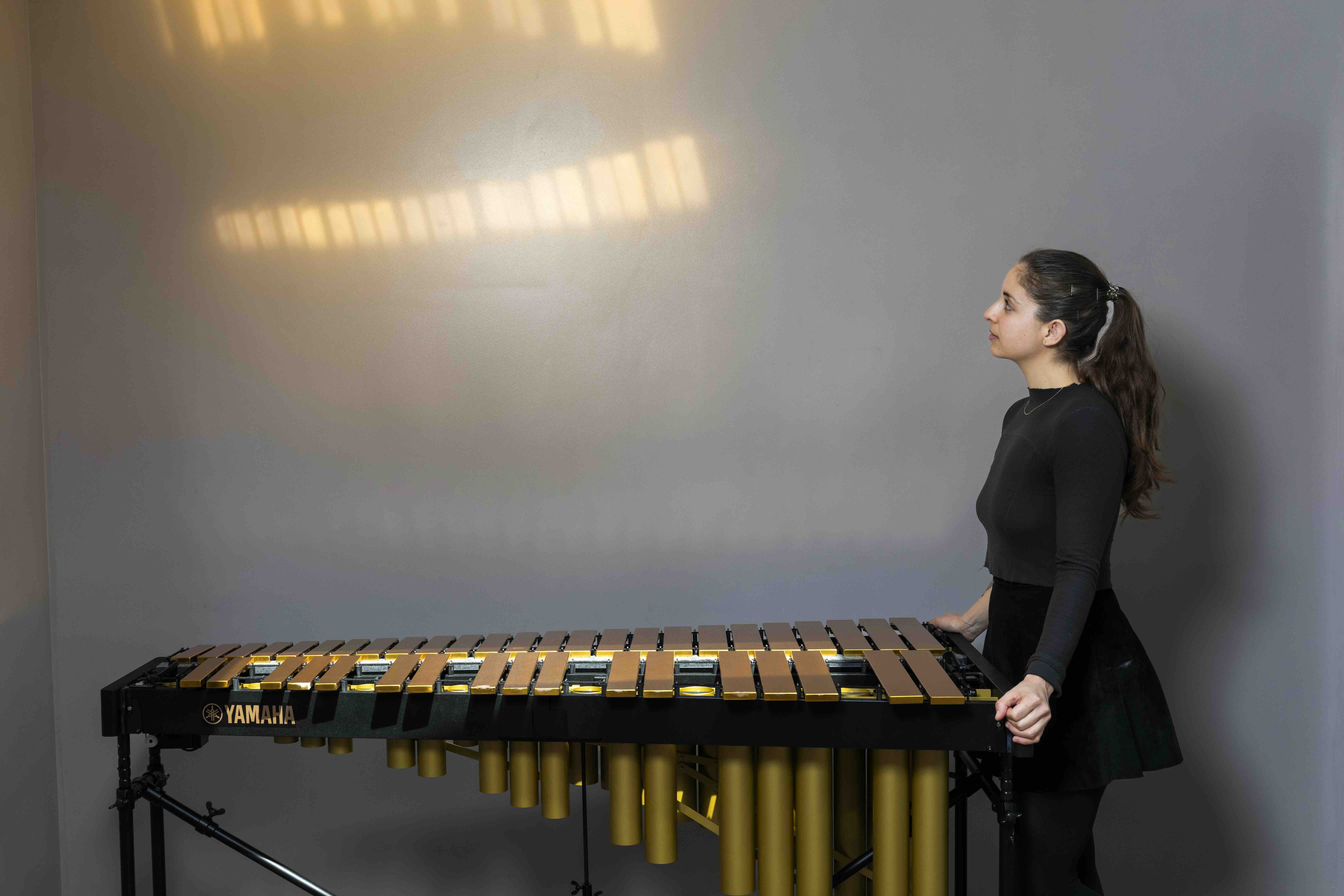 Photo by Andrea Artz. Photograph of Yehilevsky to right of vibraphone, profile view with full instrument in view in bottom centre of photograph.